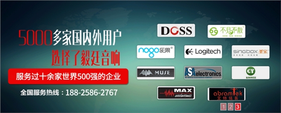 DS揚聲器公司4.png