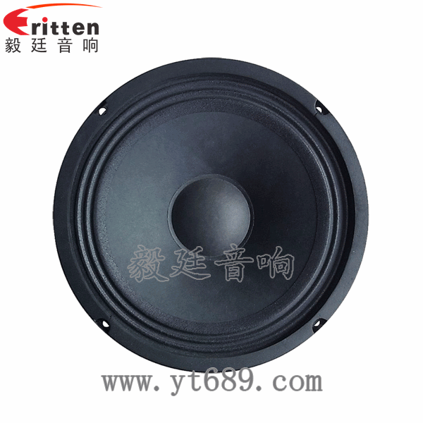 8''中低音舞臺(tái)音箱喇叭廠家正面圖