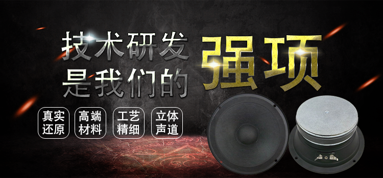 6.5寸紙盆/泡邊38.5mm芯稀土高強(qiáng)磁100W中低音汽車音響喇叭
