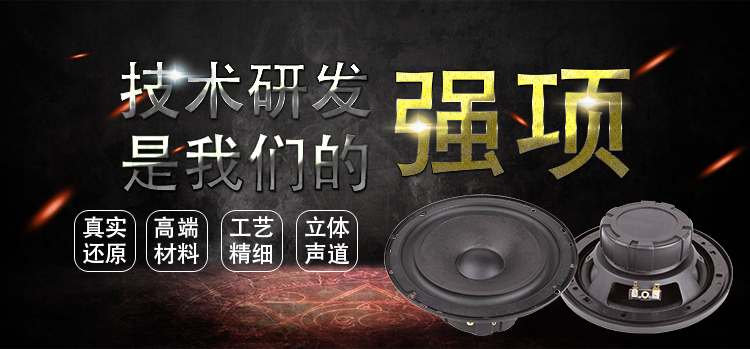 6.5寸40W全頻3.2Ω汽車(chē)音響喇叭