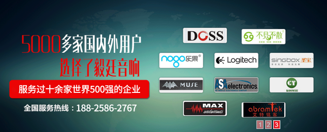 DS揚(yáng)聲器公司4.png